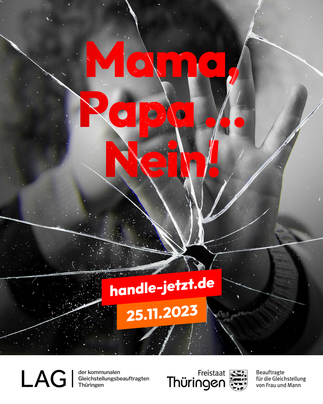 Bildbeschreibungstext