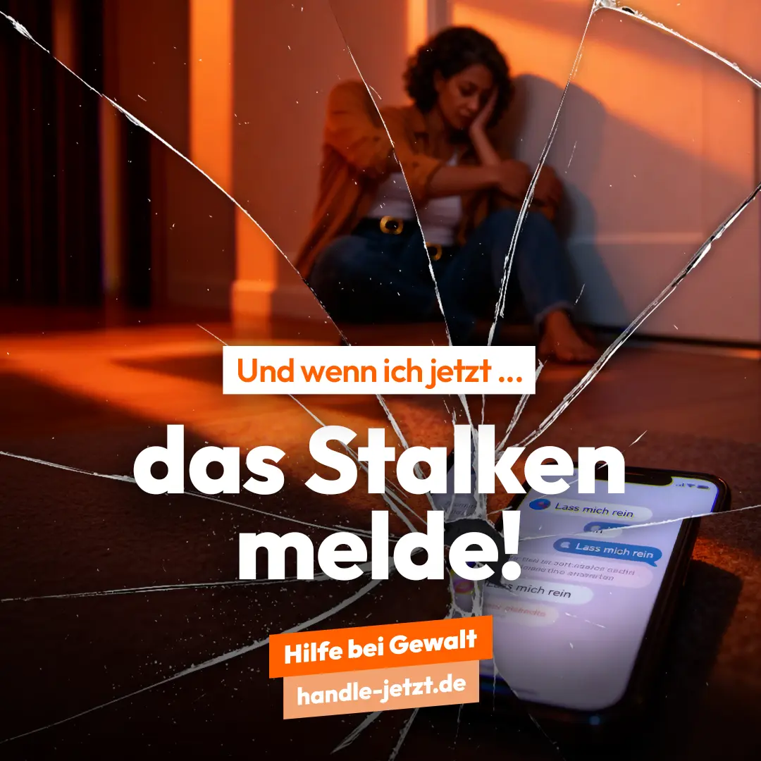 Bildbeschreibungstext