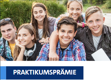 Praktikumsprämie - Handwerk erleben und Prämie erhalten Vorschaubild Blog